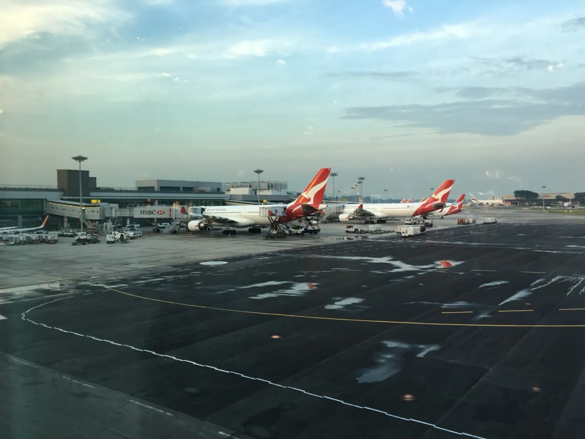 Qantas aircraft with red kangaroo tail fins parked at Singapore Changi Airport gates at dusk, viewed through terminal glass